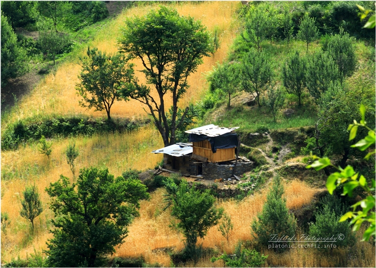 India NW: Uttarakhand/Garwhal, Rupin Pass, Yellow Blend , Walkopedia