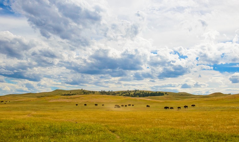 USA Mid-west, Black Hills and Grasslands, South Dakota, South Dakota Black Hills , Walkopedia