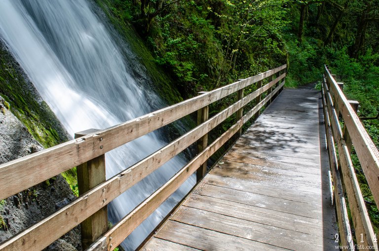 Falls on Wahclella Trail (2014) - ©A. F. Litt flickr user Pacific Crest Trail: Falls on Wahclella Trail (2014) - ©A. F. Litt flickr user
