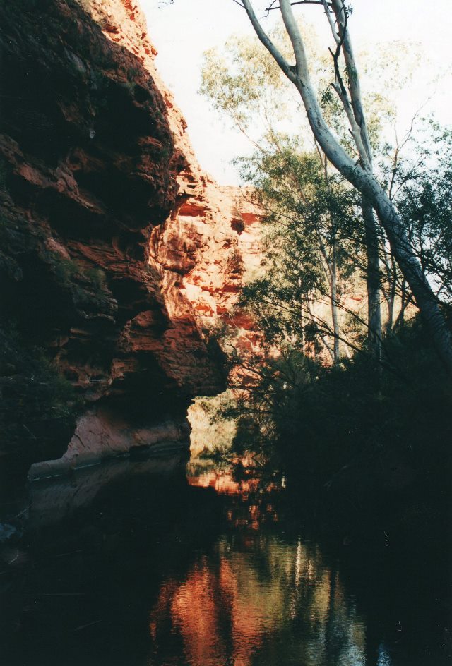 Australia Northern Territory, King's Canyon, Garden of Eden , Walkopedia