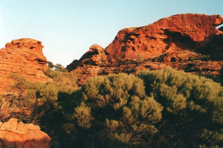 Australia Northern Territory, King's Canyon, Hilltop microworlds , Walkopedia