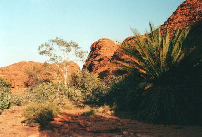 Australia Northern Territory, King's Canyon, Hilltop microworlds , Walkopedia