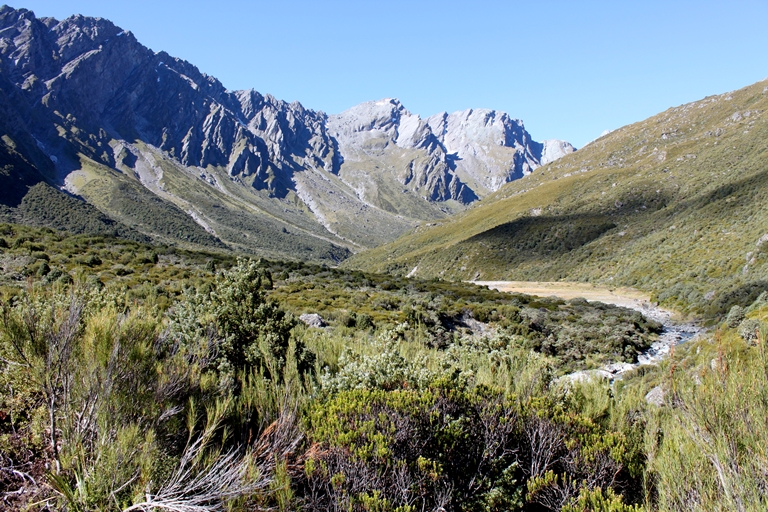 New Zealand South Island, Rees-Dart Track, New Zealand Hiking the ReesDart Track, Walkopedia