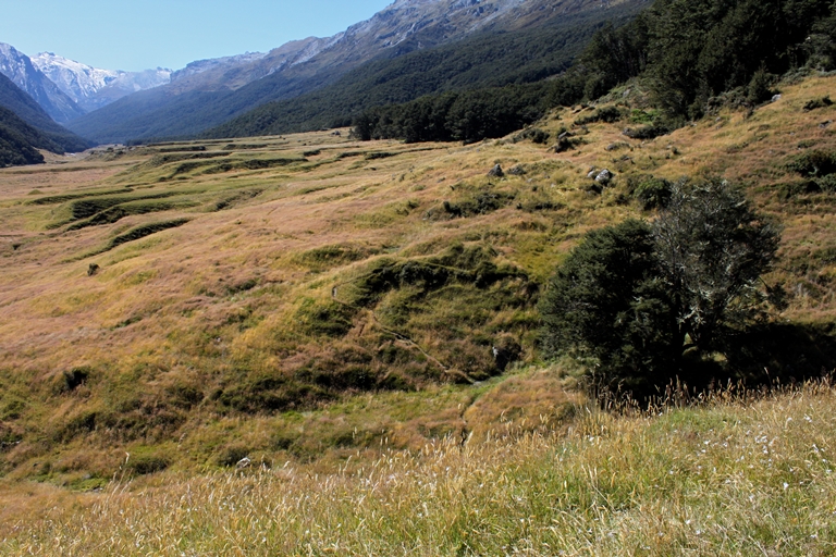 New Zealand South Island, Rees-Dart Track, New Zealand Hiking the ReesDart Track, Walkopedia