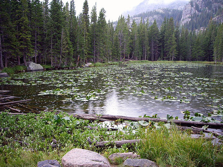 USA Western/Rocky Mountain NP, Rocky Mountain NP, nymph lake, Walkopedia