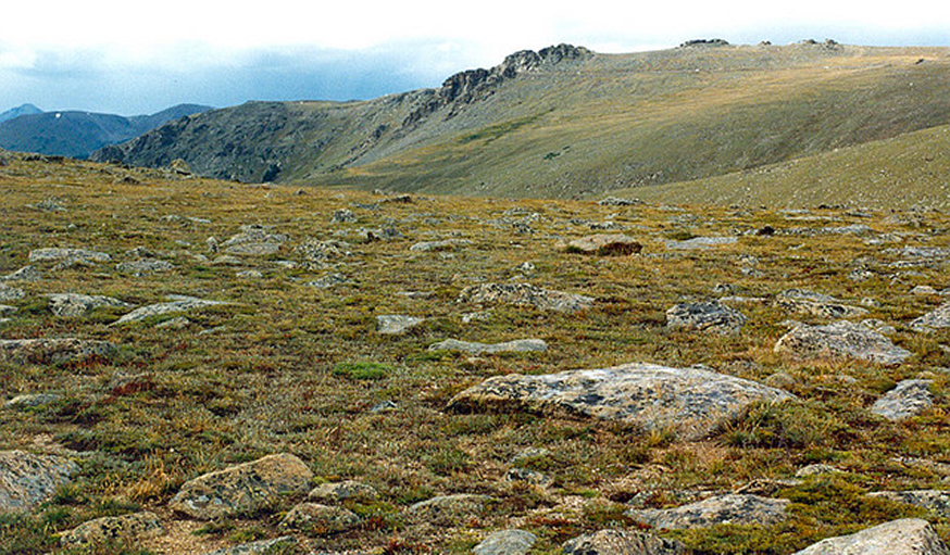 USA Western/Rocky Mountain NP, Rocky Mountain NP, tundra in rocky mt NP , Walkopedia