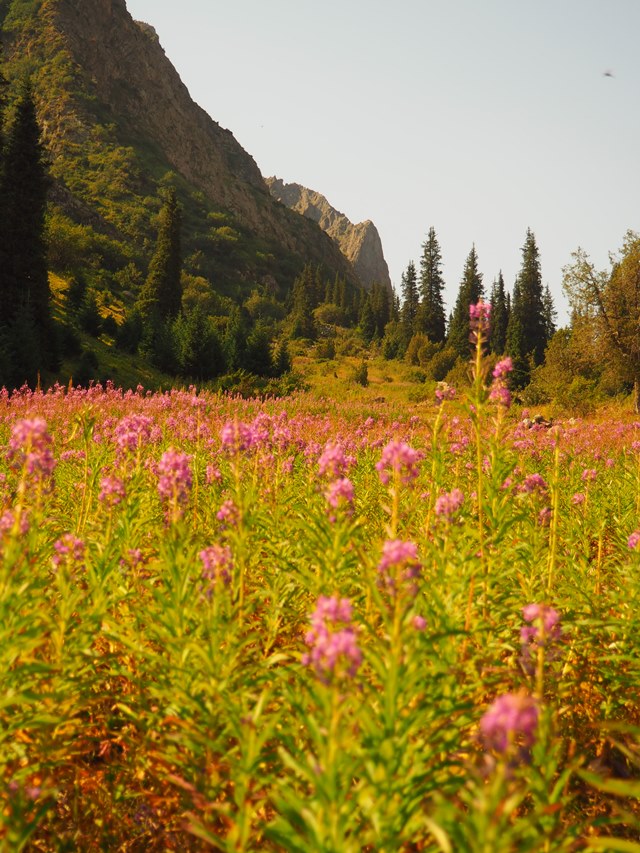 Kyrgyzstan, Ala Archa NP, Ala Archa National Park, Walkopedia