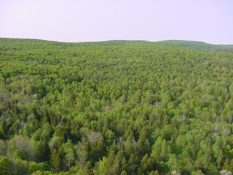 Superior Hiking Trail - © Aaron Landry flickr user Superior Hiking Trail : Superior Hiking Trail - © Aaron Landry flickr user