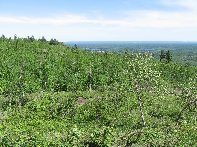 USA Mid-west, Superior Hiking Trail , Superior Hiking Trail , Walkopedia