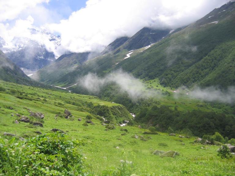India NW: Uttarakhand/Garwhal, Valley of the Flowers and Hem Kund, The Valley of Flowers , Walkopedia