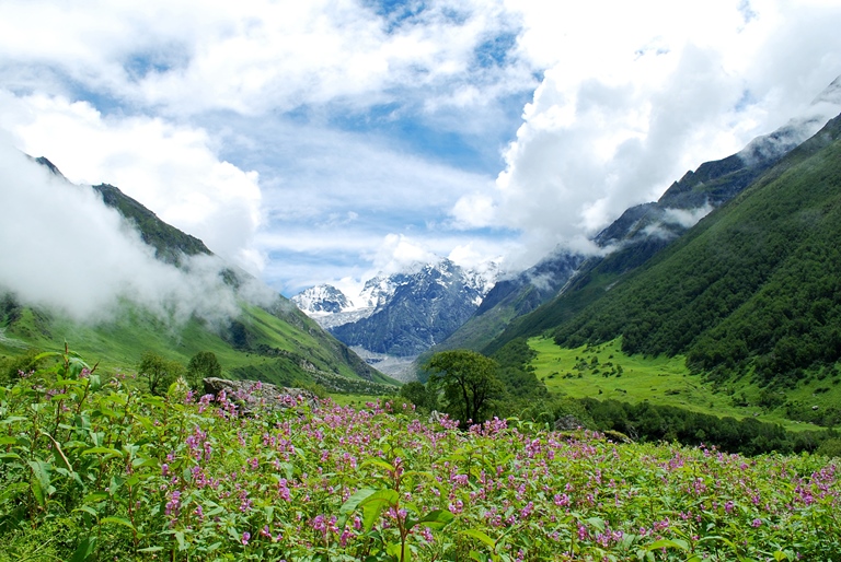 Valley of the Flowers and Hem Kund: valley of flowers  - © Alsoh Bennet flickr user 