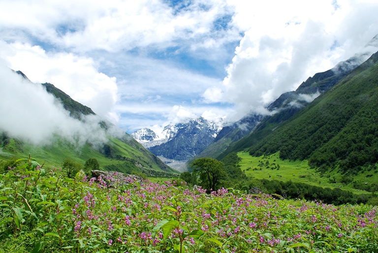 India NW: Uttarakhand/Garwhal, Valley of the Flowers and Hem Kund, valley of flowers , Walkopedia