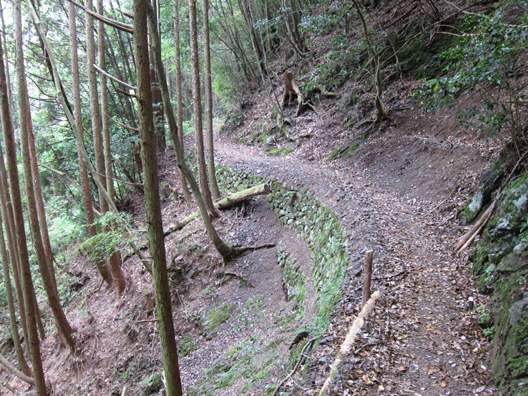 Japan Kansai: Kii Peninsula, Nakahechi Trail , Old, terraced path , Walkopedia