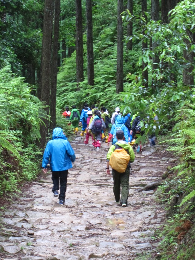 Japan Kansai: Kii Peninsula, Nakahechi Trail , Schoolchildren , Walkopedia