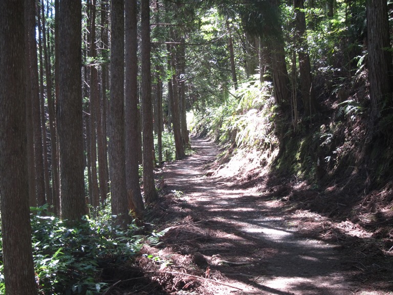 Japan Kansai: Kii Peninsula, Nakahechi Trail , , Walkopedia