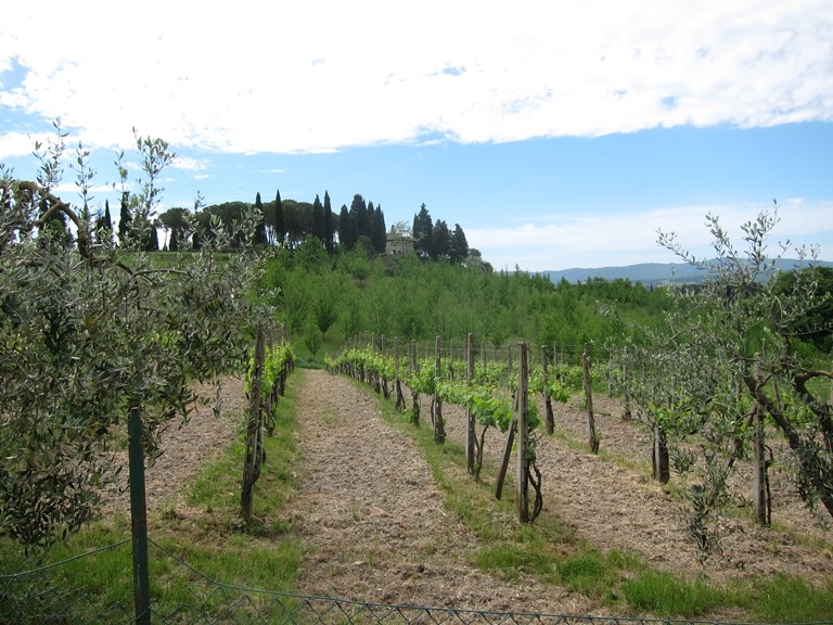 Italy Tuscany, Via Francigena; San Gimignano to Montalcino, well-loved land, Walkopedia