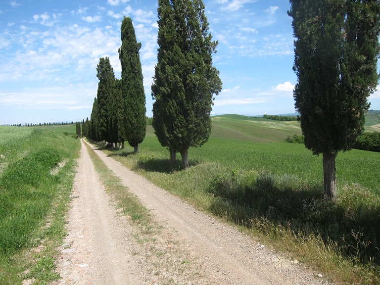 Italy Tuscany, Via Francigena; San Gimignano to Montalcino, Classic, Walkopedia