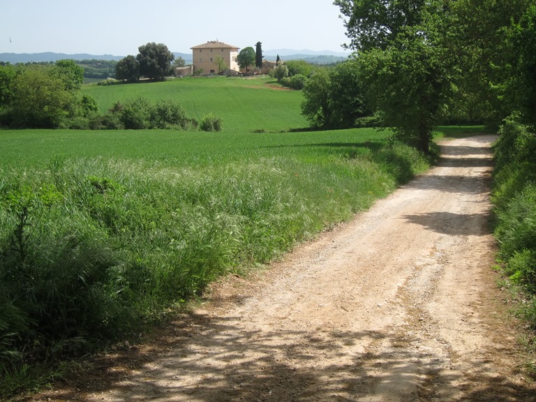 Italy Tuscany, Via Francigena; San Gimignano to Montalcino, Typical Tuscan scene, Walkopedia