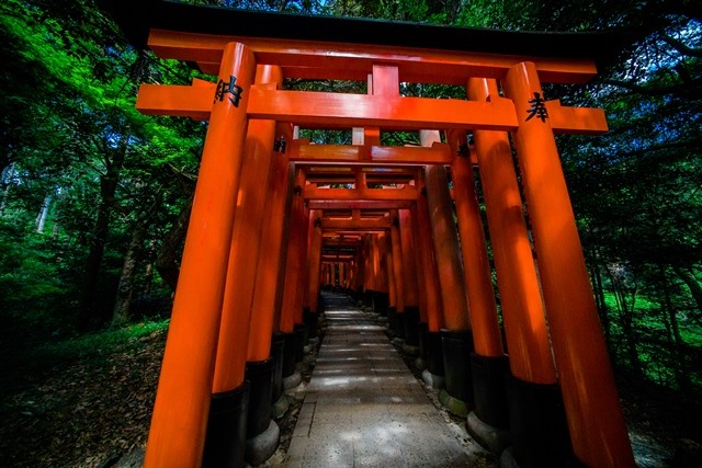 Japan Kansai, Fushimi Inari, Kyoto, Fushimi Inari, Walkopedia
