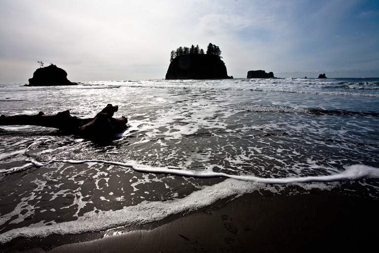 USA North-west/Olympic NP, Second Beach, Second Beach, Olympic National Park-83 , Walkopedia