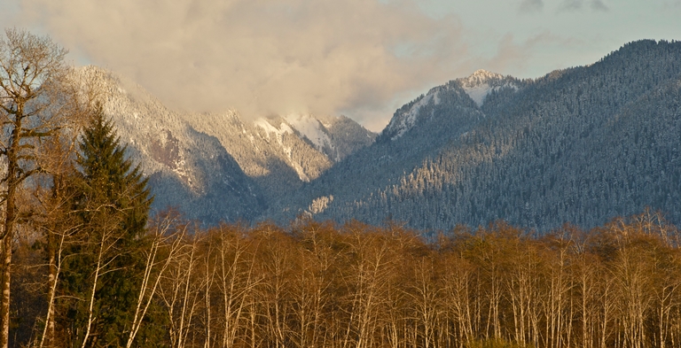 USA North-west/Olympic NP, Quinault River Valley, Quinault River Valley, Walkopedia