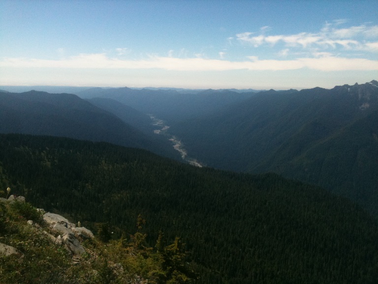 Queets River Valley: Queets River Valley - moving west  - © treegirl3 flickr user