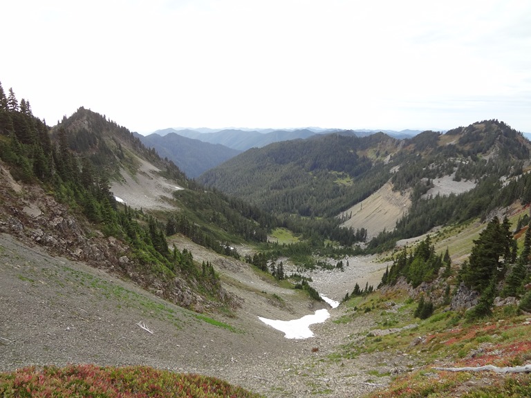 USA North-west/Olympic NP, Hoh River Trail, Bogachiel River Valley From The Hoh Lake Trail , Walkopedia