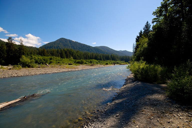 USA North-west/Olympic NP, Hoh River Trail, Hoh River, Olympic National Park, Walkopedia