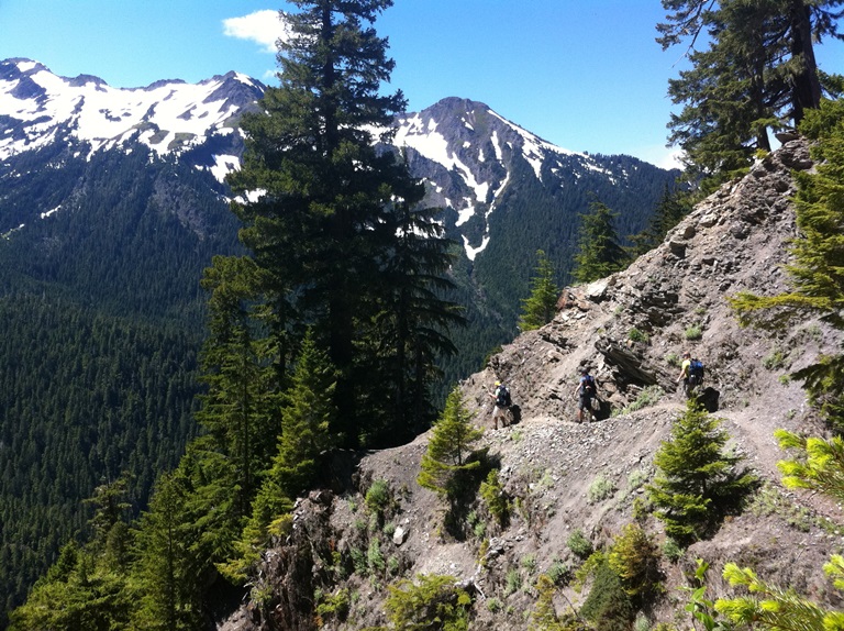 USA North-west/Olympic NP, Hoh River Trail, Hoh River Trail, on the way to Glacier Meadows. , Walkopedia