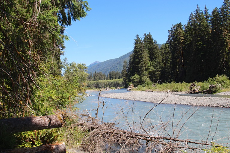 USA North-west/Olympic NP, Hoh River Trail, Hoh River , Walkopedia