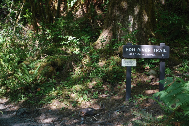 USA North-west/Olympic NP, Hoh River Trail, , Walkopedia