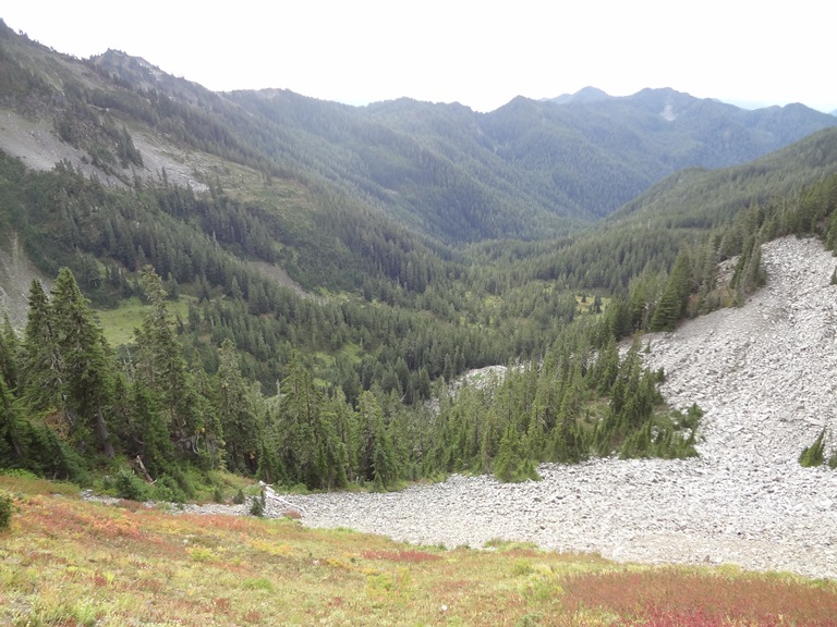 USA North-west/Olympic NP, Bogachiel River Valley, Bogachiel River Valley Near The Headwaters , Walkopedia