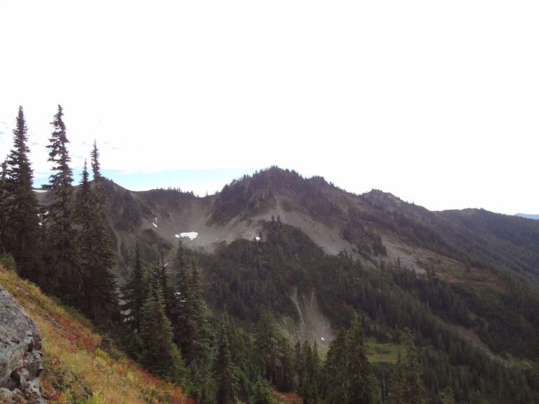 USA North-west/Olympic NP, Bogachiel River Valley, Bogachiel River Valley Near The Headwaters , Walkopedia