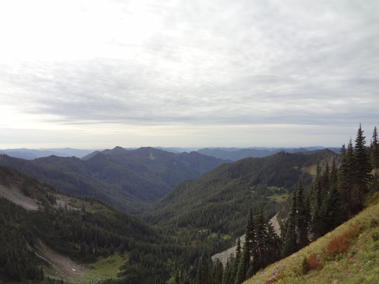 USA North-west/Olympic NP, Bogachiel River Valley, Bogachiel River Valley Near The Headwaters, Walkopedia