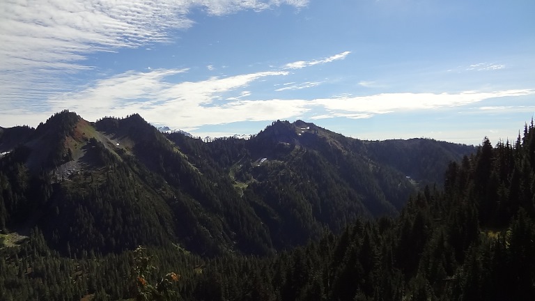 USA North-west/Olympic NP, Bogachiel River Valley, Bogachiel River Valley Near The Headwaters , Walkopedia