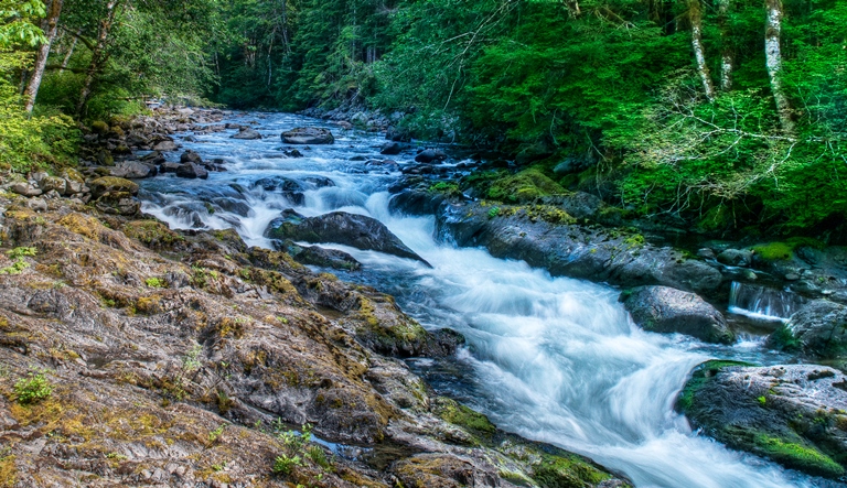 USA North-west/Olympic NP, Sol Duc River Valley, , Walkopedia