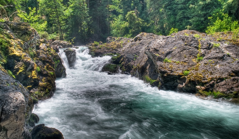 USA North-west/Olympic NP, Sol Duc River Valley, , Walkopedia