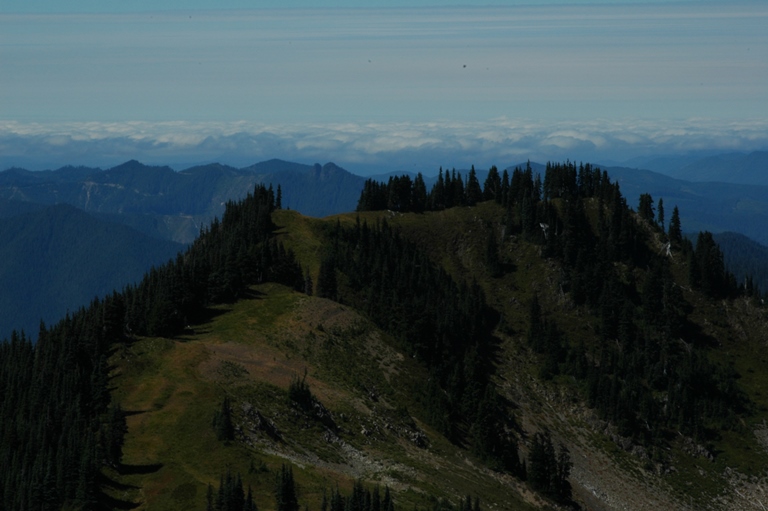 USA North-west/Olympic NP, Sol Duc River Valley, Sol Duc Ridge, Walkopedia