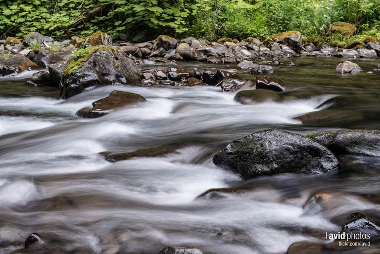Sol Duc Trail - Olympic National Park - © Dave Lichterman flickr user Sol Duc River Valley: Sol Duc Trail - Olympic National Park - © Dave Lichterman flickr user