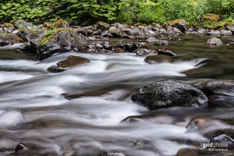 USA North-west/Olympic NP, Sol Duc River Valley, Sol Duc Trail - Olympic National Park, Walkopedia