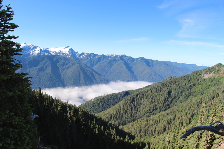 USA North-west/Olympic NP, Sol Duc River Valley, , Walkopedia