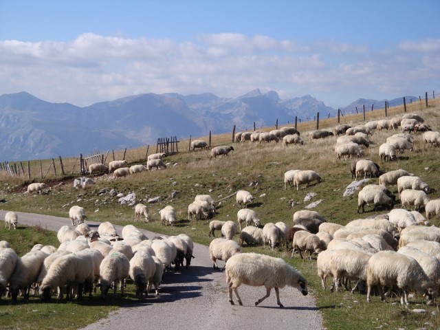 Montenegro, Durmitor National Park, , Walkopedia