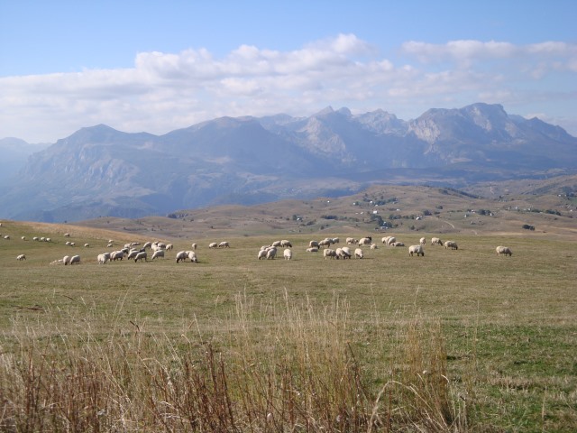 Montenegro, Durmitor National Park, , Walkopedia