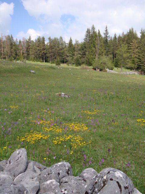 Montenegro, Durmitor National Park, , Walkopedia