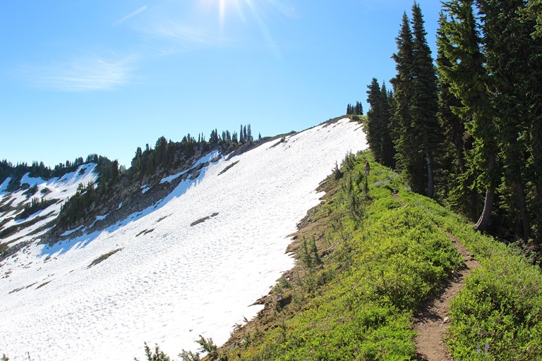 USA North-west/Olympic NP, The High Divide Loop, Climbing high and high on High Divide , Walkopedia