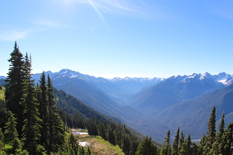 USA North-west/Olympic NP, The High Divide Loop, High Divide Overlook , Walkopedia