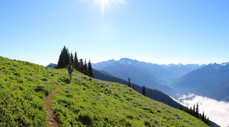 USA North-west/Olympic NP, The High Divide Loop, Reaching the High Divide, Walkopedia