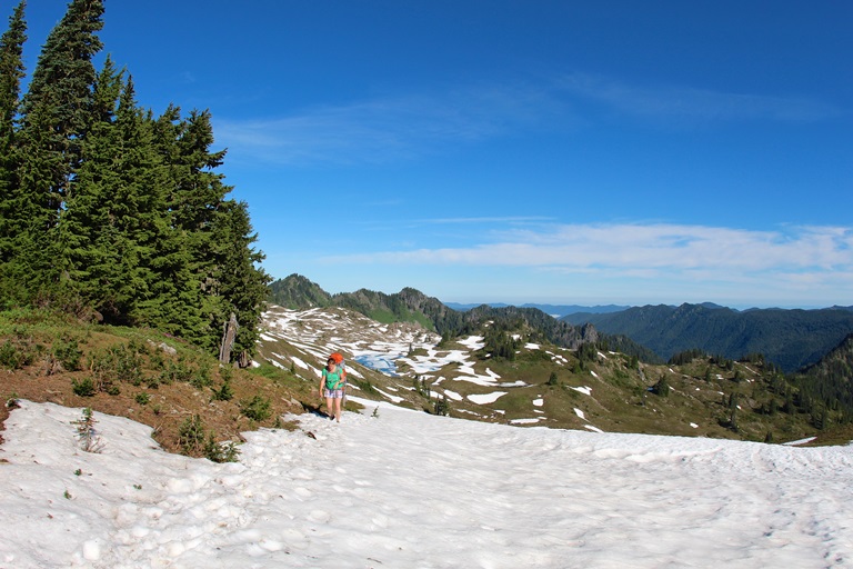 USA North-west/Olympic NP, The High Divide Loop, Snow spots on High Divide , Walkopedia