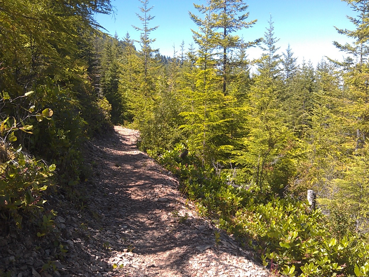 USA North-west/Olympic NP, Olympic Discovery Trail, , Walkopedia