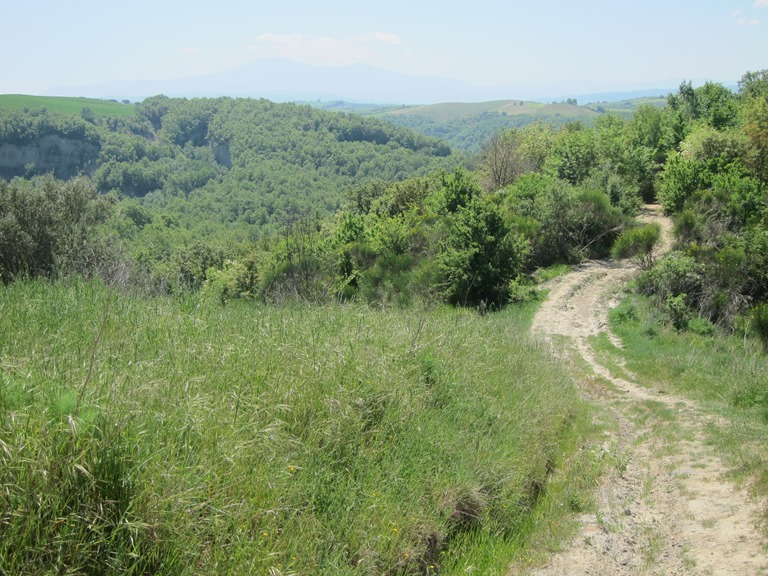 Italy Tuscany, Monte Oliveto Maggiore to Montalcino , Ridgetop track , Walkopedia